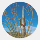 Search for saguaro cactus stickers Tucson