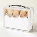 Search for puppy lunch boxes Animal
