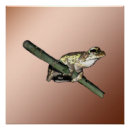 Search for frog painting posters Amphibian