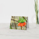 Search for crown birthday cards Flower