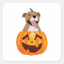 Search for pitbull stickers Halloween