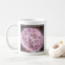 Search for neutron stars mugs Universe