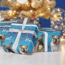 Search for cat dog christmas wrapping paper Cats