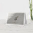 Search for bird photo cards Beach