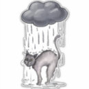 Search for upset stickers Kitten