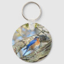 Search for bluebird key rings Nature