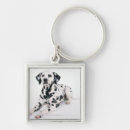 Search for 4 key rings Dog