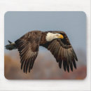 Search for eagle mousepads Predator