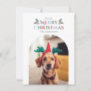 Search for mistletoe christmas cards Modern