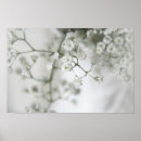 Search for purity posters Floral