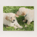 Search for yellow lab puzzles Puppy
