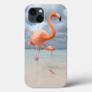 Search for aruba cases Lesser antilles