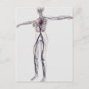 Search for circulatory system postcards Cutout