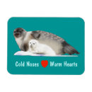 Search for warm magnets Wildlife