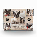 Search for photo pet memorials Dog sympathy