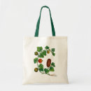 Search for squash accessories Vine