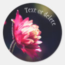 Search for sunlight stickers Flower