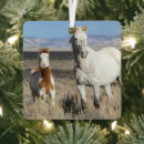 Search for brush christmas tree decorations Horse