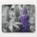 Search for lupin mousepads Nature