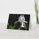Search for christian sister cards For her