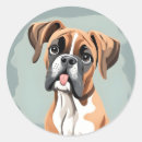 Search for boxer stickers Dog