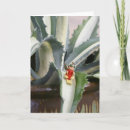 Search for succulents christmas cards Agave