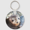 Search for galapagos key rings Island