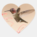 Search for humming bird stickers Animals
