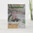 Search for getting photo cards Humourous