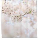 Search for closeups Photography