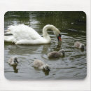 Search for cool baby mousepads Unique