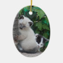 Search for siamese cat christmas tree decorations Feline