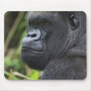 Search for silverback gorilla electronics Mammal