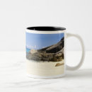 Search for asiatic mugs Thai