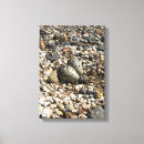 Search for egg canvas prints Bird