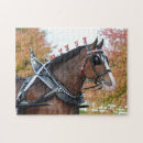 Search for clydesdale horses puzzles Equine