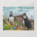 Search for agent postcards Business marketing