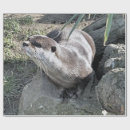 Search for otter wrapping paper Mustelids