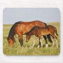 Search for colts mousepads Farm