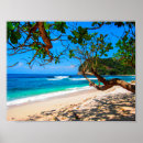 Search for maldives beach posters Island