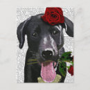 Search for rose leaves postcards Red roses
