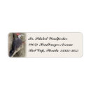 Search for woodpecker return address labels Bird