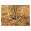 Search for lion gift bags Wildlife