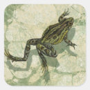 Search for studios labels Nature