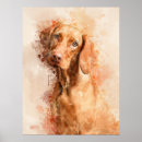 Search for vizsla art Hungarian pointer