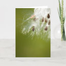 Search for seed cards Nature