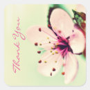 Search for japanese cherry tree blossoms stickers Floral