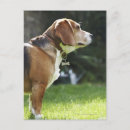 Search for back view postcards Outdoors