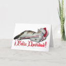 Search for animals having fun cards Gravityx9