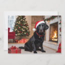 Search for black lab christmas cards Naughty or nice